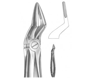 Extracting Forceps English pattern